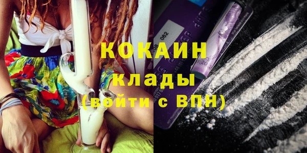 ешки Арсеньев