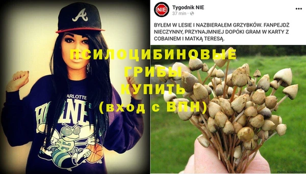 мет Аркадак