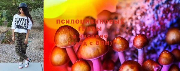 ешки Арсеньев