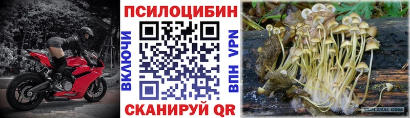 МЕГА онион  Учалы  Псилоцибиновые грибы Psilocybine cubensis 