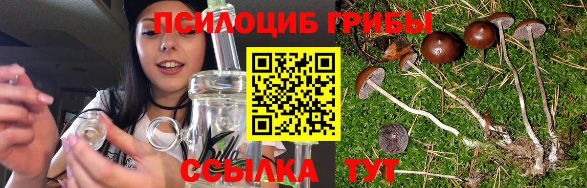 Учалы  Галлюциногенные грибы Psilocybe  Вход с VPN 